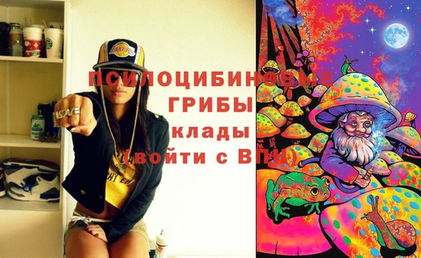 COCAINE Гусев
