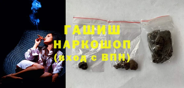стаф Гусь-Хрустальный