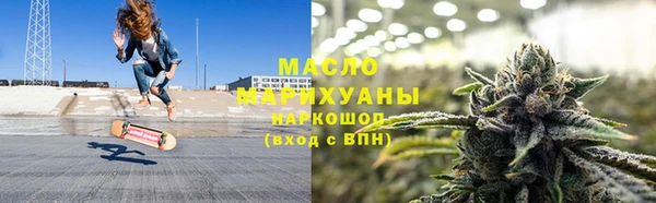 шишки Дмитриев