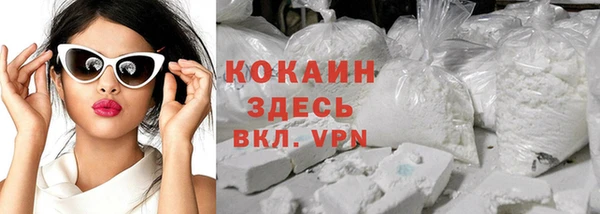 шишки Дмитриев