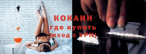 стаф Гусь-Хрустальный