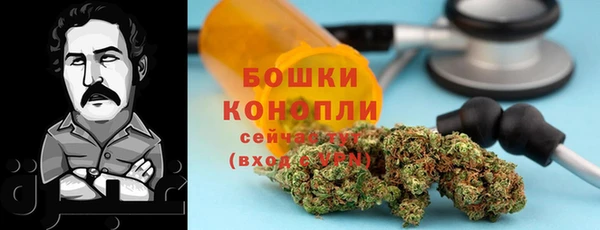 гидра Дмитров