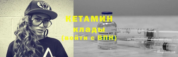 шишки Дмитриев