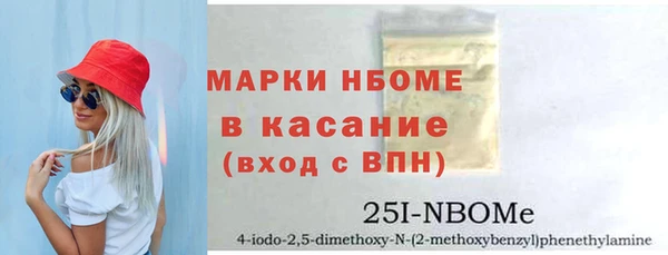 шишки Дмитриев