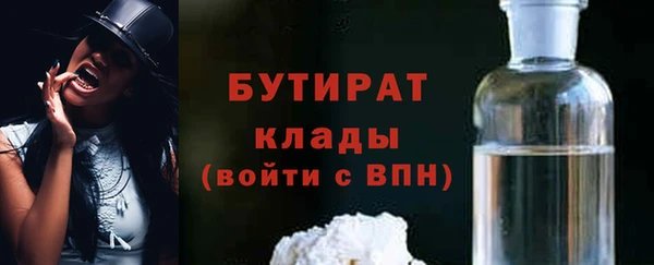 шишки Дмитриев