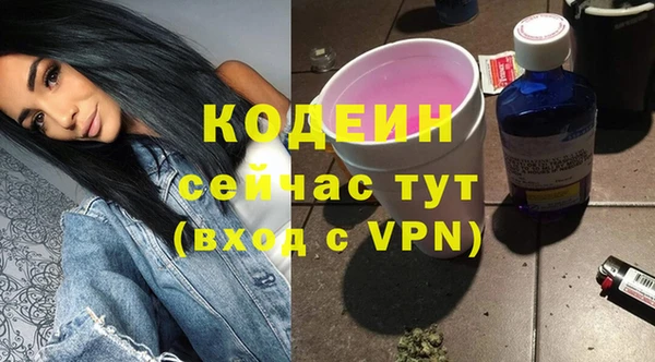 стаф Гусь-Хрустальный