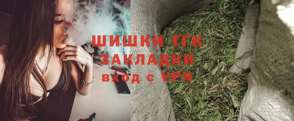 шишки Дмитриев