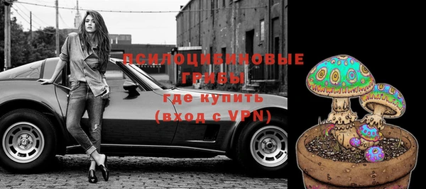 гашик Гусиноозёрск