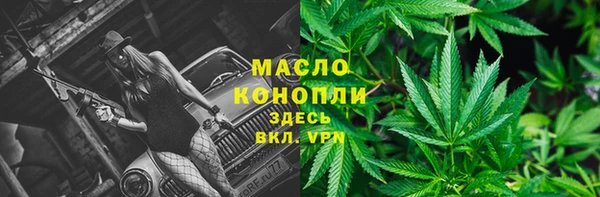 гидра Дмитров