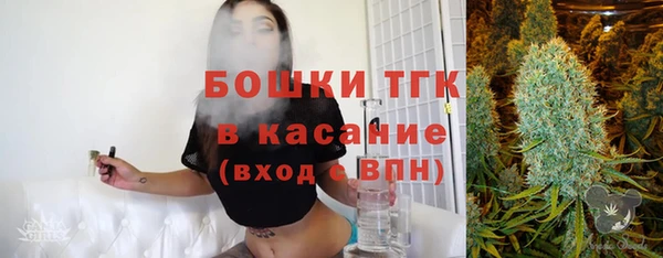 шишки Дмитриев