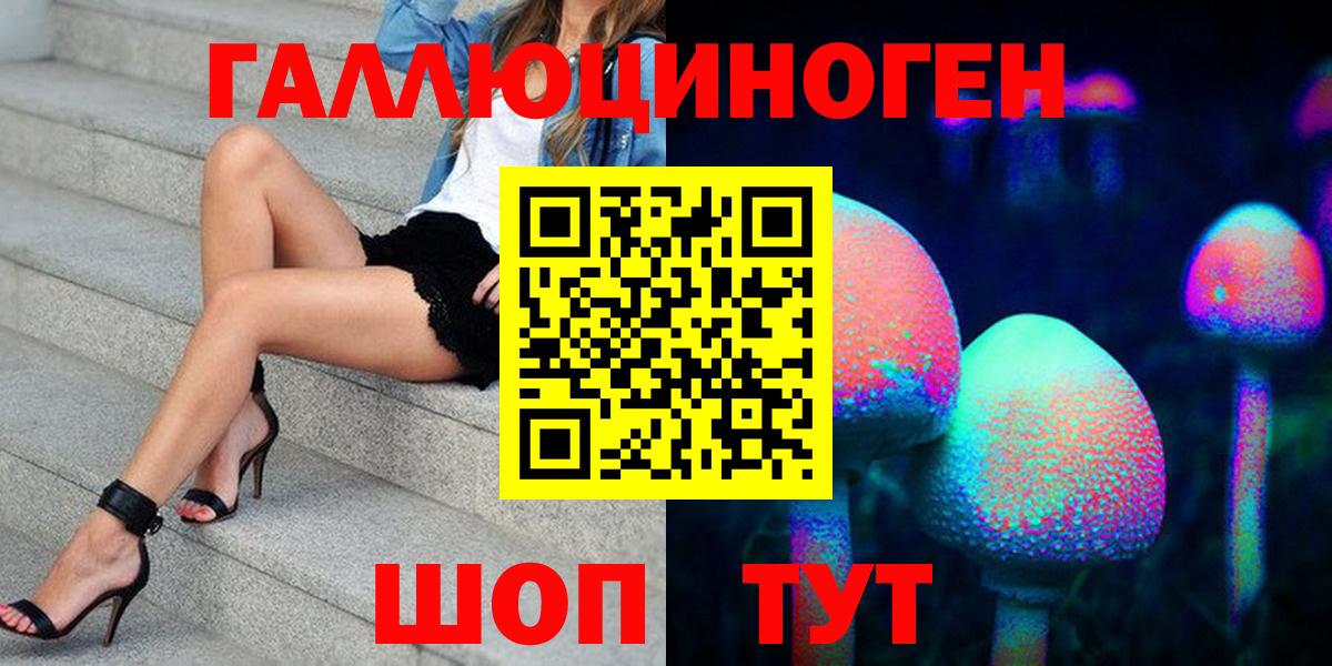 Псилоцибиновые грибы Psilocybine cubensis Донецк