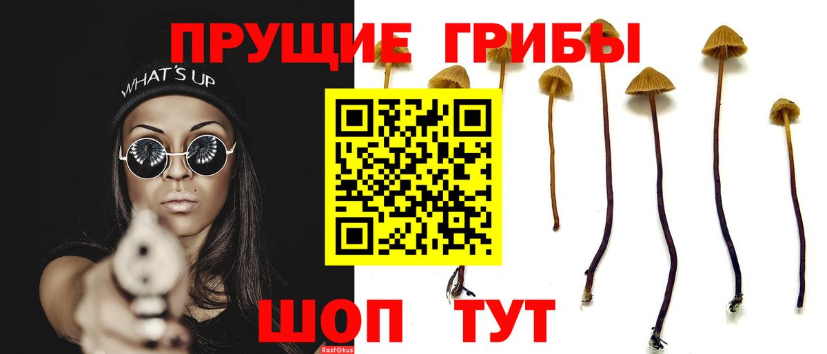 Донецк  Галлюциногенные грибы ЛСД  Галлюциногенные грибы ЛСД  Вход с VPN 